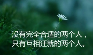 经典人生感悟（经典人生感悟语录文案）