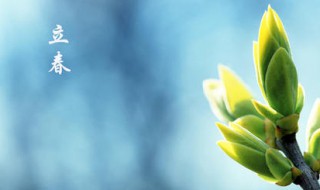 2021牛年立春抖音文案大全 立春抖音文案简短