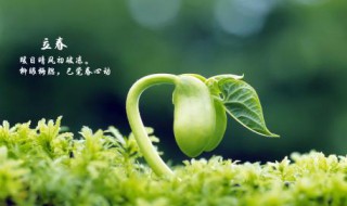 2021立春节气经典祝福语朋友圈文案（2021朋友圈新年祝福语文案）