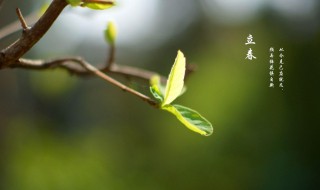 关于描写立春的句子（关于描写立春的句子有哪些）