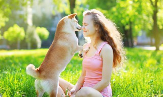 让小狗洗澡的方法(让小狗洗澡的方法是什么)