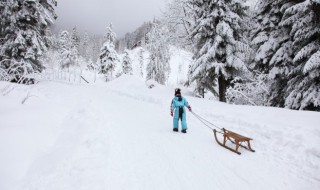 雪中经典语录短句 雪中经典语录句子