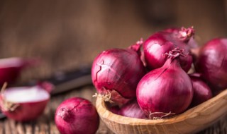 花盆葱头种植方法（花盆葱头种植方法图解）