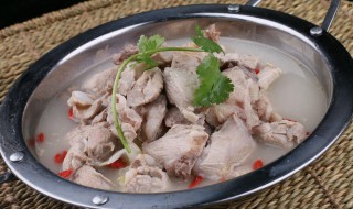 吃羊肉不能吃的食物（什么不能吃羊肉）