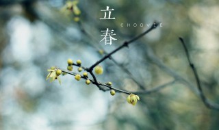 2021年雨水有啥含义（2021雨水是哪天是什么意思）