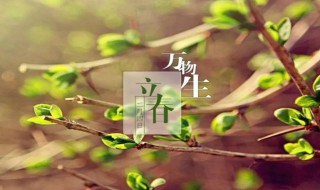 立春是几月几日（农历立春是几月几日）