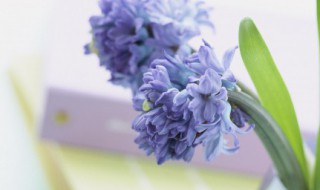 朋友圈文案早安经典（发朋友圈早安文案）