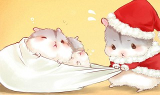 英文微信说说大全女生 英文微信说说大全女生网名