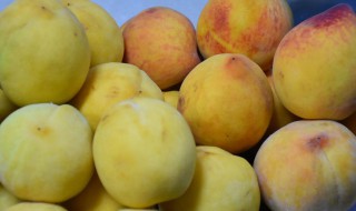 黄桃怎么选（黄桃怎么选里面核不是烂的）