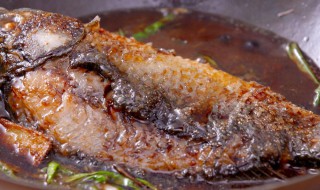 葱烤鲫鱼做法 葱烤鲫鱼做法视频