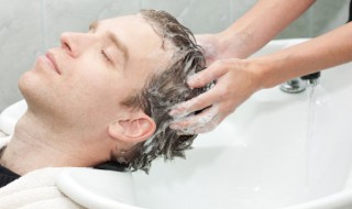 山茶油洗头的正确方法（山茶油洗头的正确方法图片）