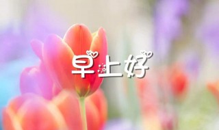 经典美好的早安QQ祝福语 常用的早安祝福语