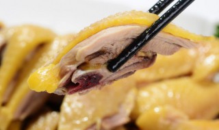 广式白切鸡做法(广式白切鸡的制作过程)