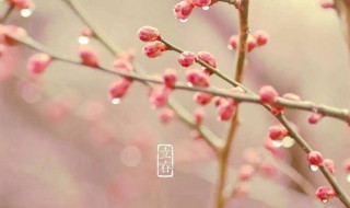 适合立春发的朋友圈