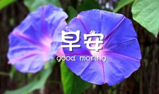 2021年9月早上好心语 2021年9月早上好说说