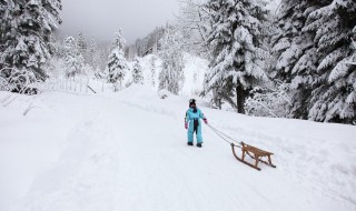 形容雪景的唯美句子 有什么写雪景的句子