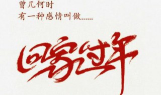 过年回家的心情说说（过年回家的心情说说发朋友圈图片）