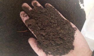 冬天自然发酵羊粪的最简单的方法（冬季羊粪发酵需要多长时间）