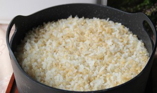 糙米饭怎么做才会软 糙米饭如何做得松软
