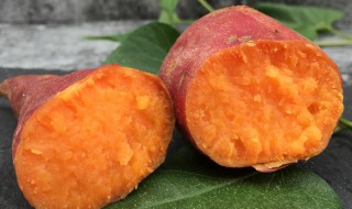 甜糯红薯怎么做 甜糯红薯怎么做的