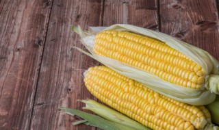 又好吃又简单的玉米做法（又好吃又简单的玉米做法大全）