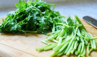 炒茼蒿怎么弄（茼蒿怎么炒茼蒿）
