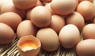 鸡蛋可以下了就吃吗 吃了下蛋鸡会怎样
