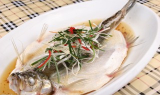 白水鱼冰冻后怎么吃 白水鱼冰冻后怎么吃最好