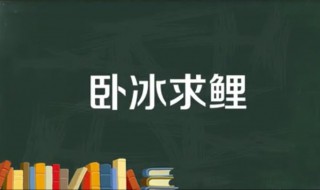 卧冰求鲤的故事（卧冰求鲤的故事50字）