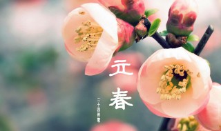 立春的说说心情（立春的说说心情短语）