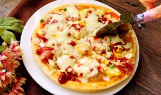 鲜蔬什锦披萨的家常做法（什锦蔬菜披萨）