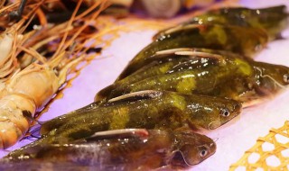 嘎鱼烧粉丝的做法 米鱼烧粉丝的做法大全