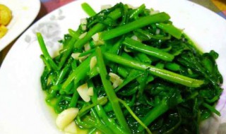 爆炒空心菜的家常做法（怎样爆炒空心菜）