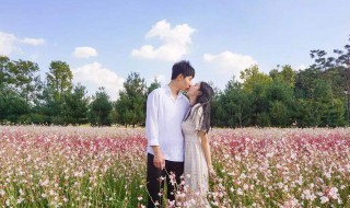 一些带有历史知识的浪漫句子（关于历史的浪漫句子）