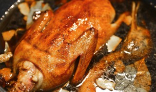 陈皮鸭子的做法（陈皮鸭的制作）