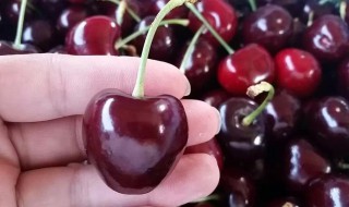 车厘子都是进口的吗（车厘子都是进口的吗知乎）