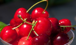 种植车厘子小技巧（种植车厘子的方法）