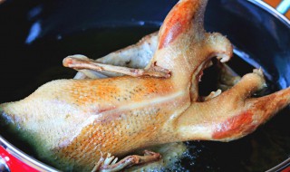 陈皮乳鸽松做法（乳鸽松的做法）