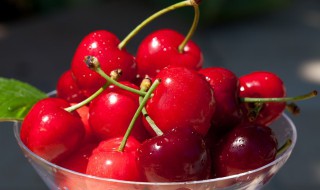 车厘子是樱桃吗 车厘子是樱桃吗功效一样么
