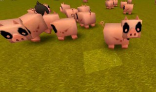 迷你世界猪怎么繁殖(迷你世界猪怎么繁殖新版本)