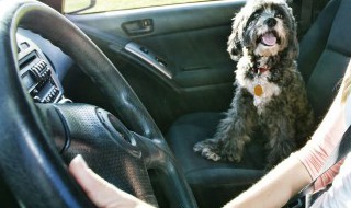 快速过弯的十种方法 过弯最快的方法是什么