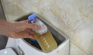 清除家里有异味的方法（怎么能去除家里的异味）