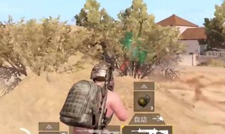 刺激战场最稀有的衣服 刺激战场最稀有的衣服皮肤