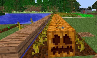 我的世界南瓜怎么种 我的世界南瓜怎么种效率高