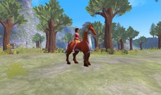 创造与魔法牛筋怎么弄（创造与魔法牛排怎么获得）