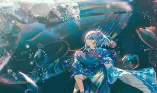 阴阳师引擎更新在哪（阴阳师引擎更新在哪里）