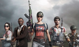 和平精英的兵器是什么(和平精英的兵器是什么样的)