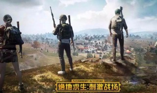 和平精英怎样吃鸡（和平精英怎样吃鸡完整版视频）