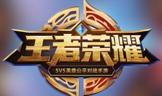 王者荣耀的adc是什么意思（王者荣耀的adc是什么意思）