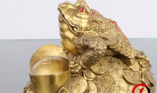 金蟾摆件能清洗吗(金蟾摆件能清洗吗图片)
